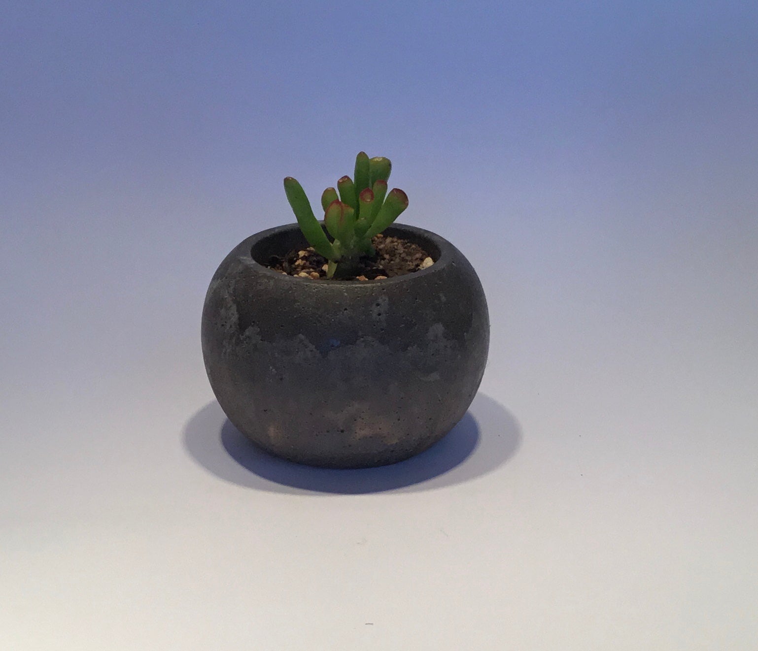 Concrete pots - Medium M3