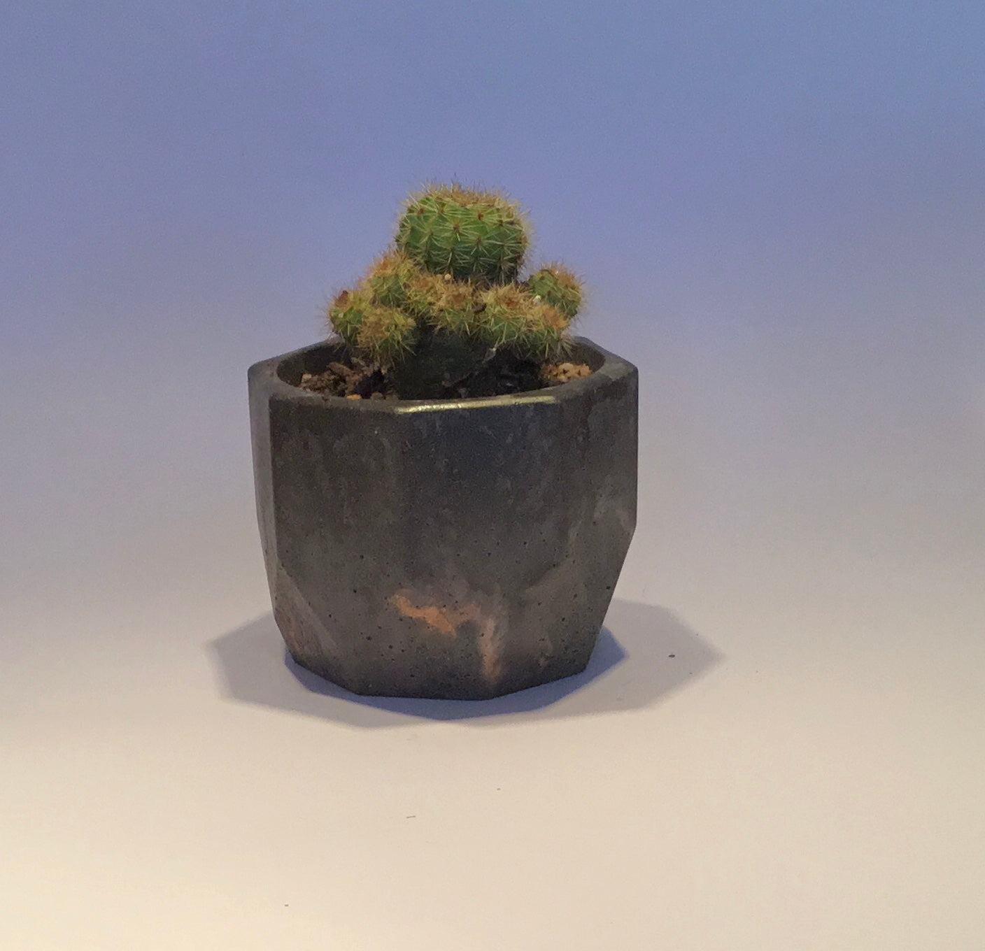 Concrete pots - Medium M8