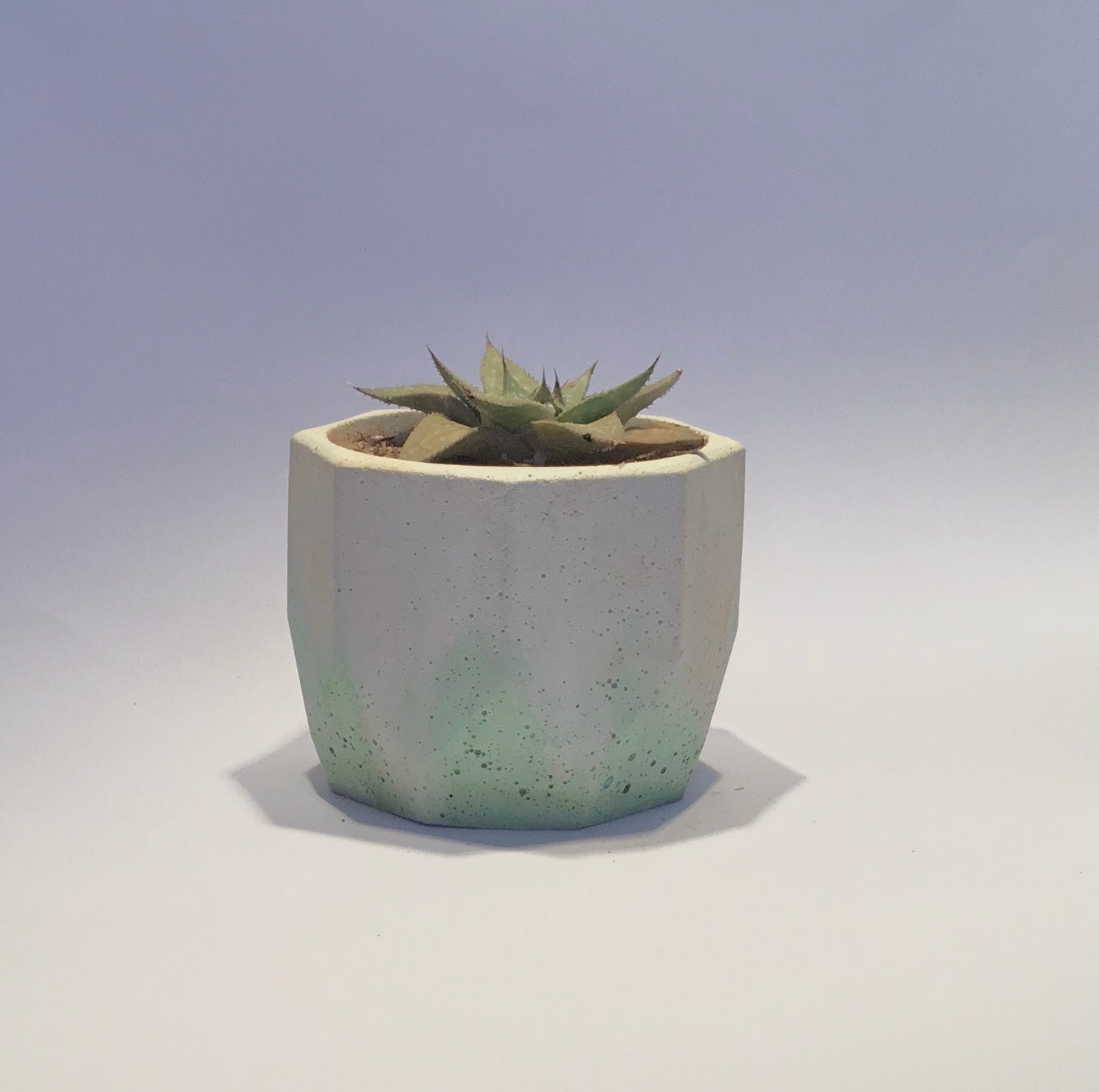 Concrete pots - Medium M59