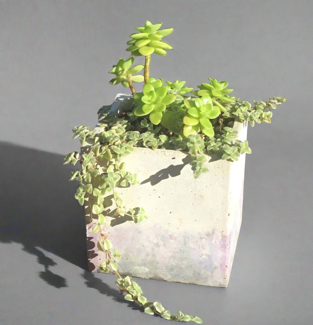 Concrete pots / planters - Large L23
