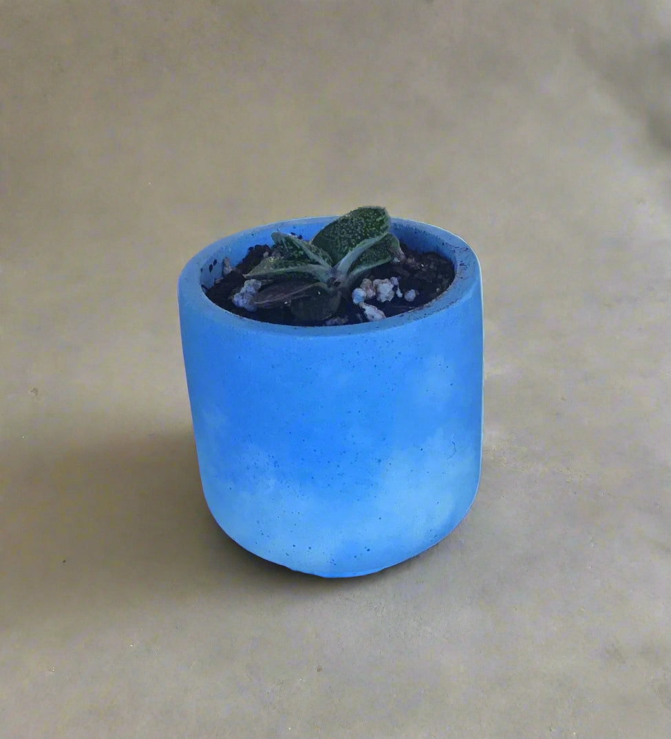 Concrete pots / planters - Medium M2