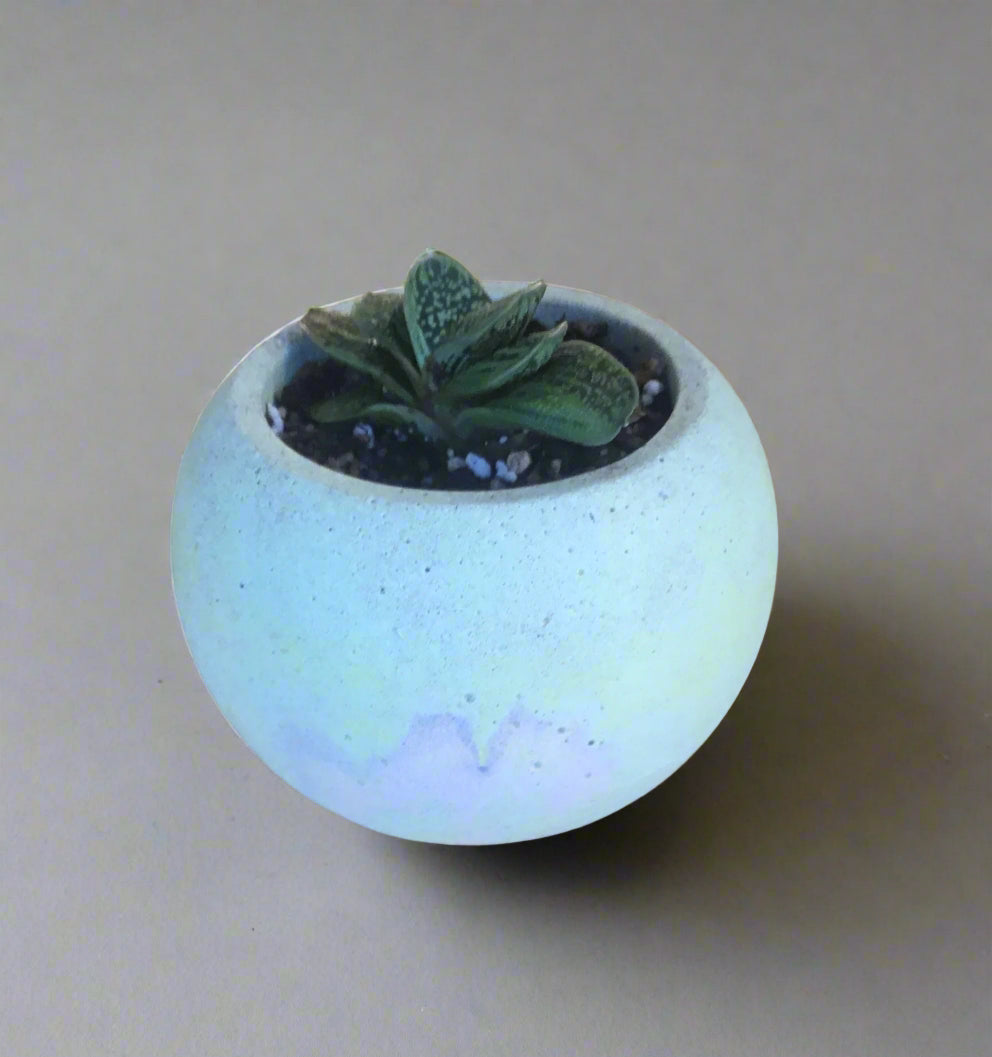 Concrete pots / planters - Medium M5