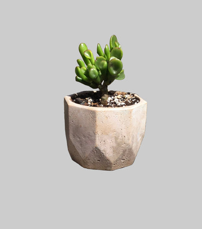 Concrete pots / planters - M9