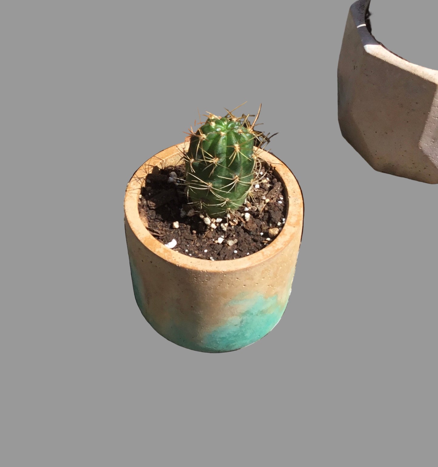 Concrete pots / planters - Medium M53