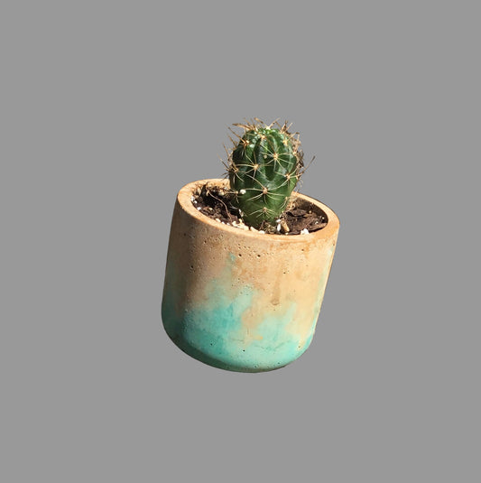 Concrete pots / planters - Medium M53