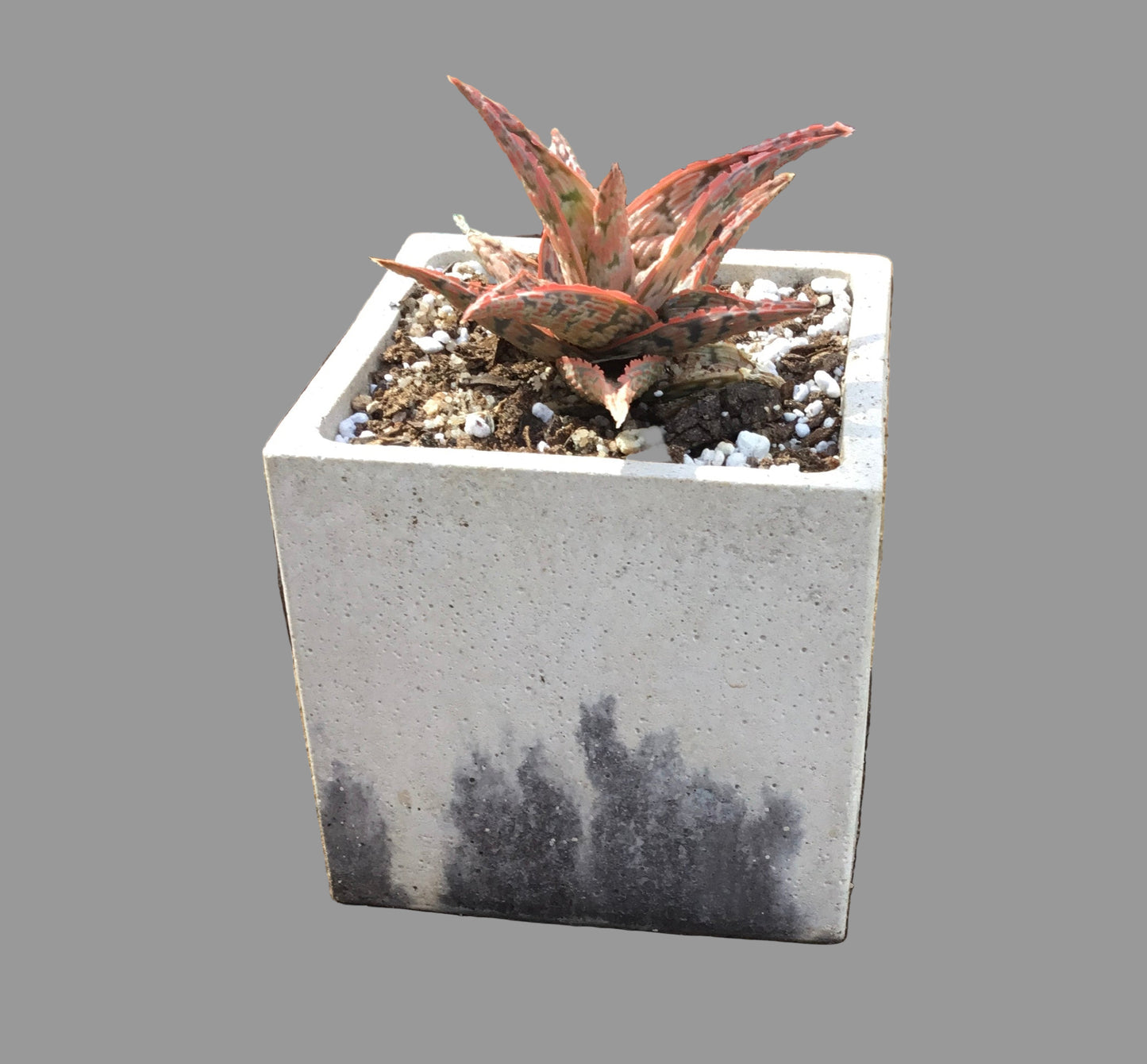 Concrete pots - Large L24