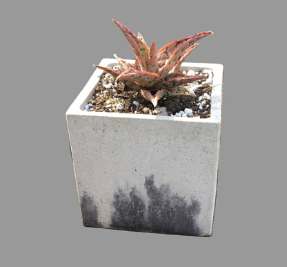 Concrete pots - Large L24