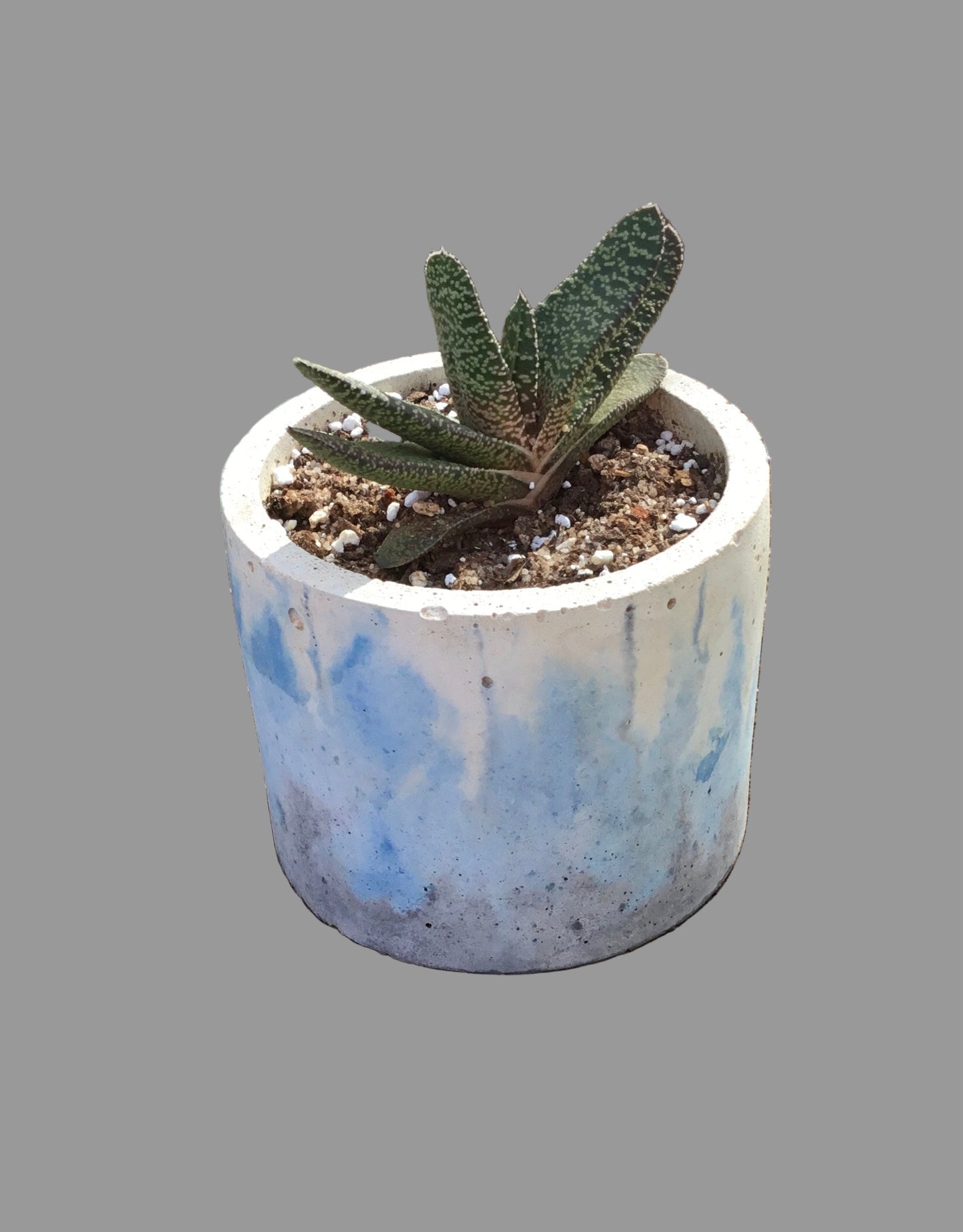 Concrete pots -Large L28