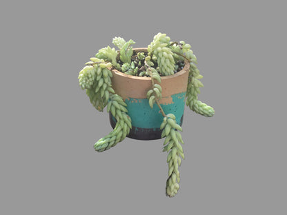 Concrete pots - Large L7