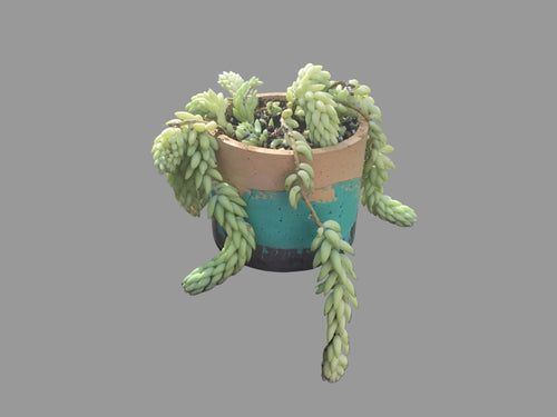 Concrete pots - Large L7
