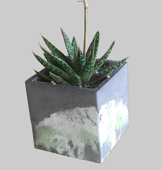 Concrete Pots - Large L9