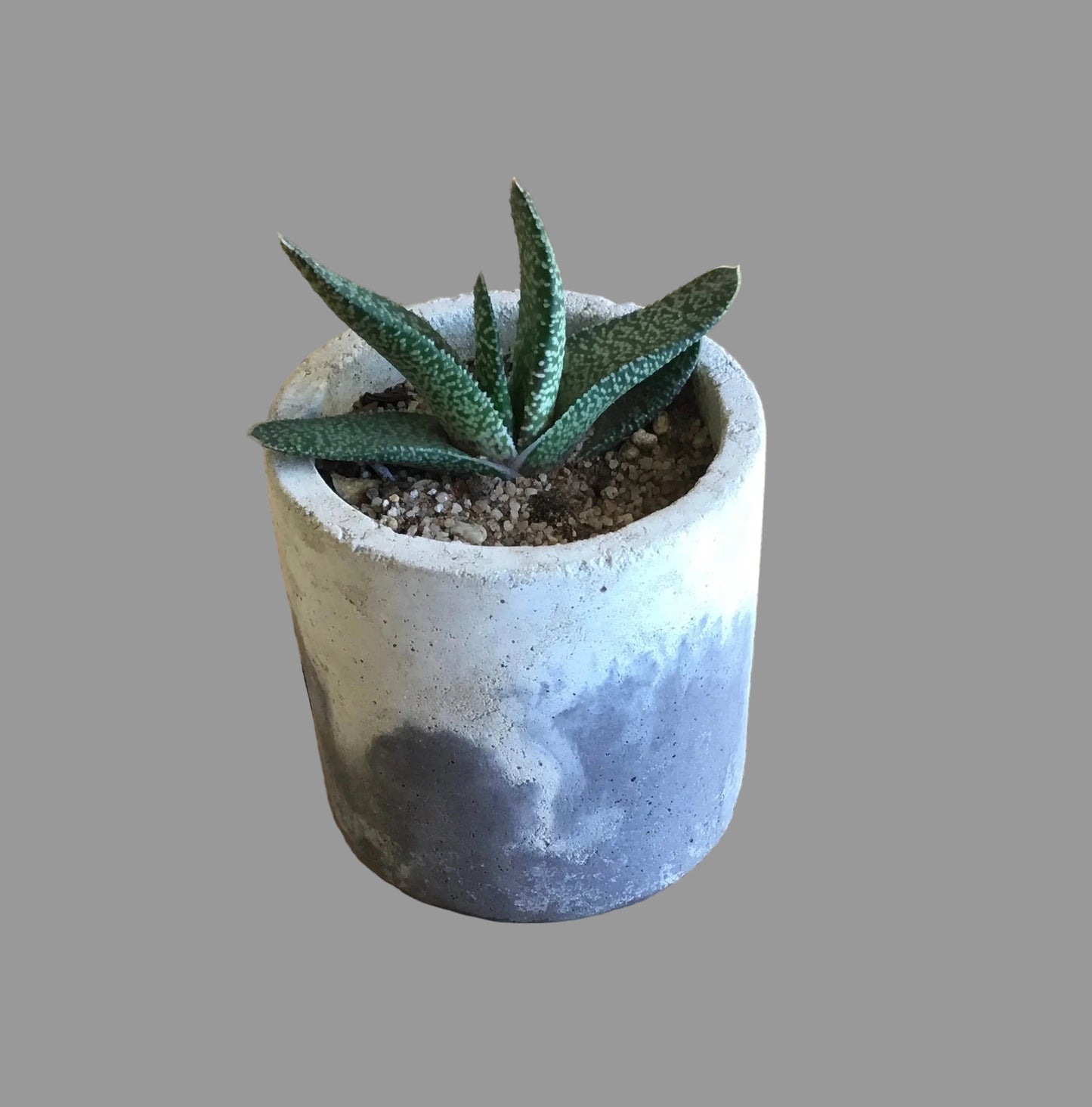Concrete pot - Medium M62