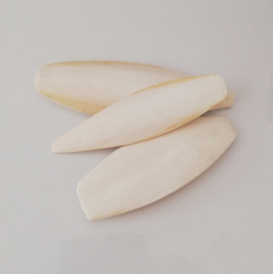 Cuttlefish - Singles