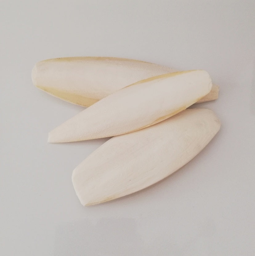 Cuttlefish - Singles