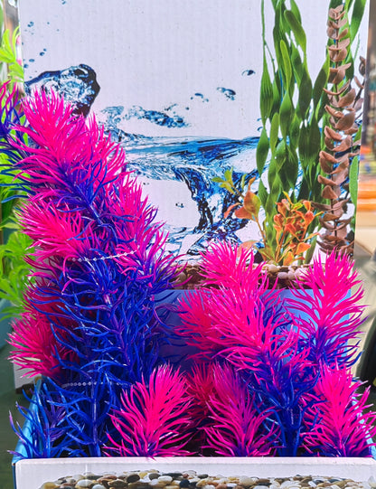 Akwa Multi Plastic Plants