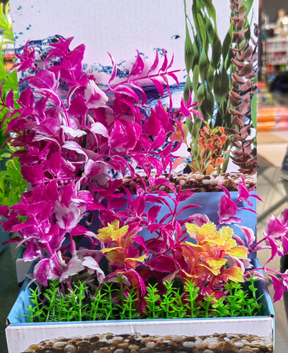Akwa Multi Plastic Plants