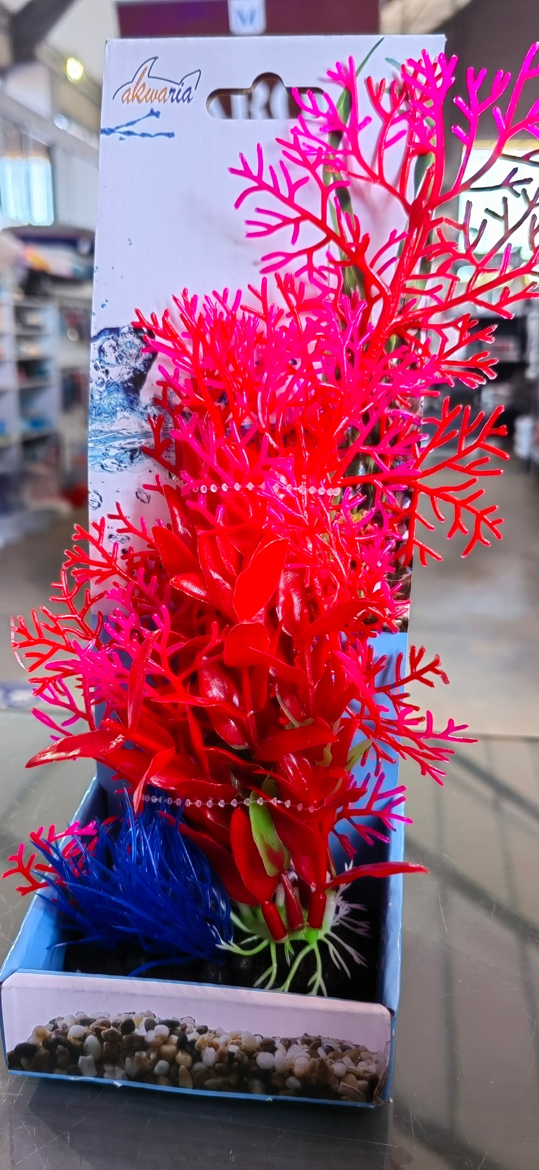 Akwa Multi Color Plastic Plants