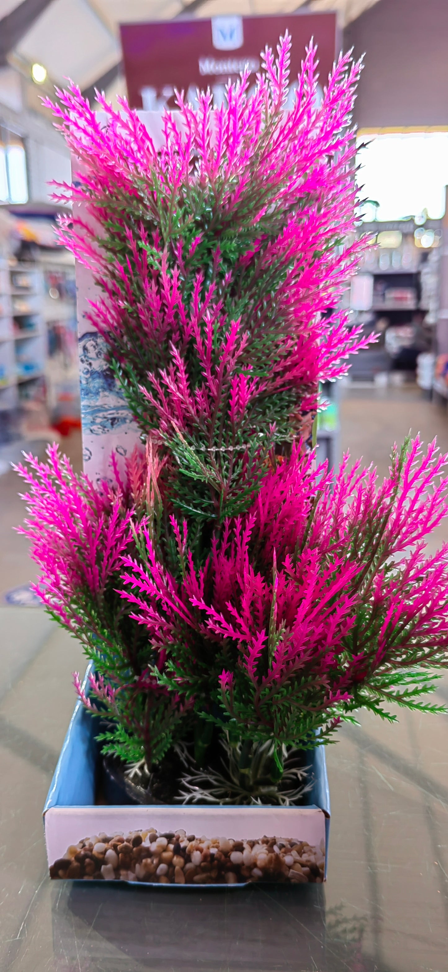 Akwa Multi Color Plastic Plants