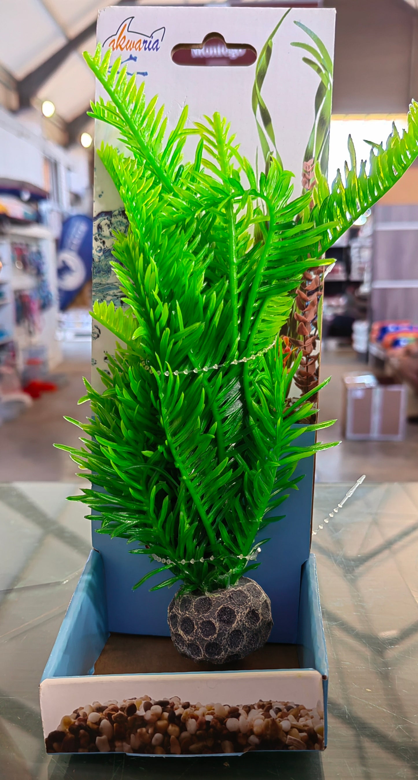 Akwa Multi Color Plastic Plants