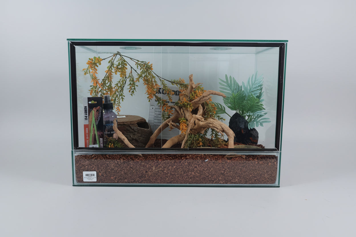 Leopard Gecko Starter Kit #2