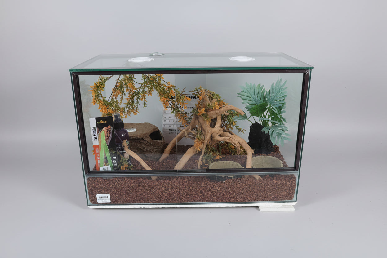 Leopard Gecko Starter Kit #2