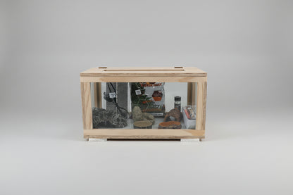 Leopard Gecko Starter Kit #1