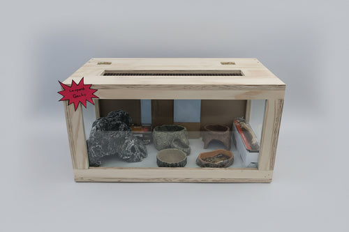 Leopard Gecko Starter Kit #1