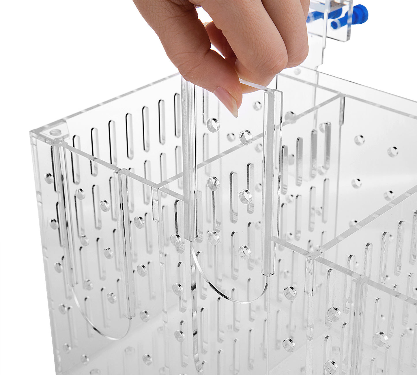 Marine Sources Fish Separation Box