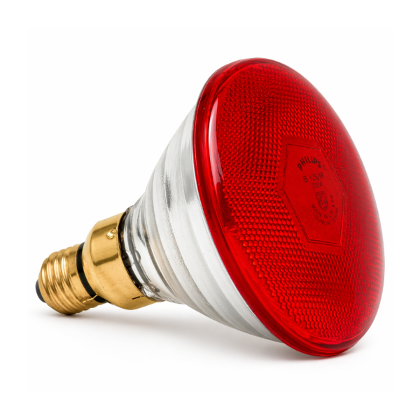 Infrared Lamp For Poultry