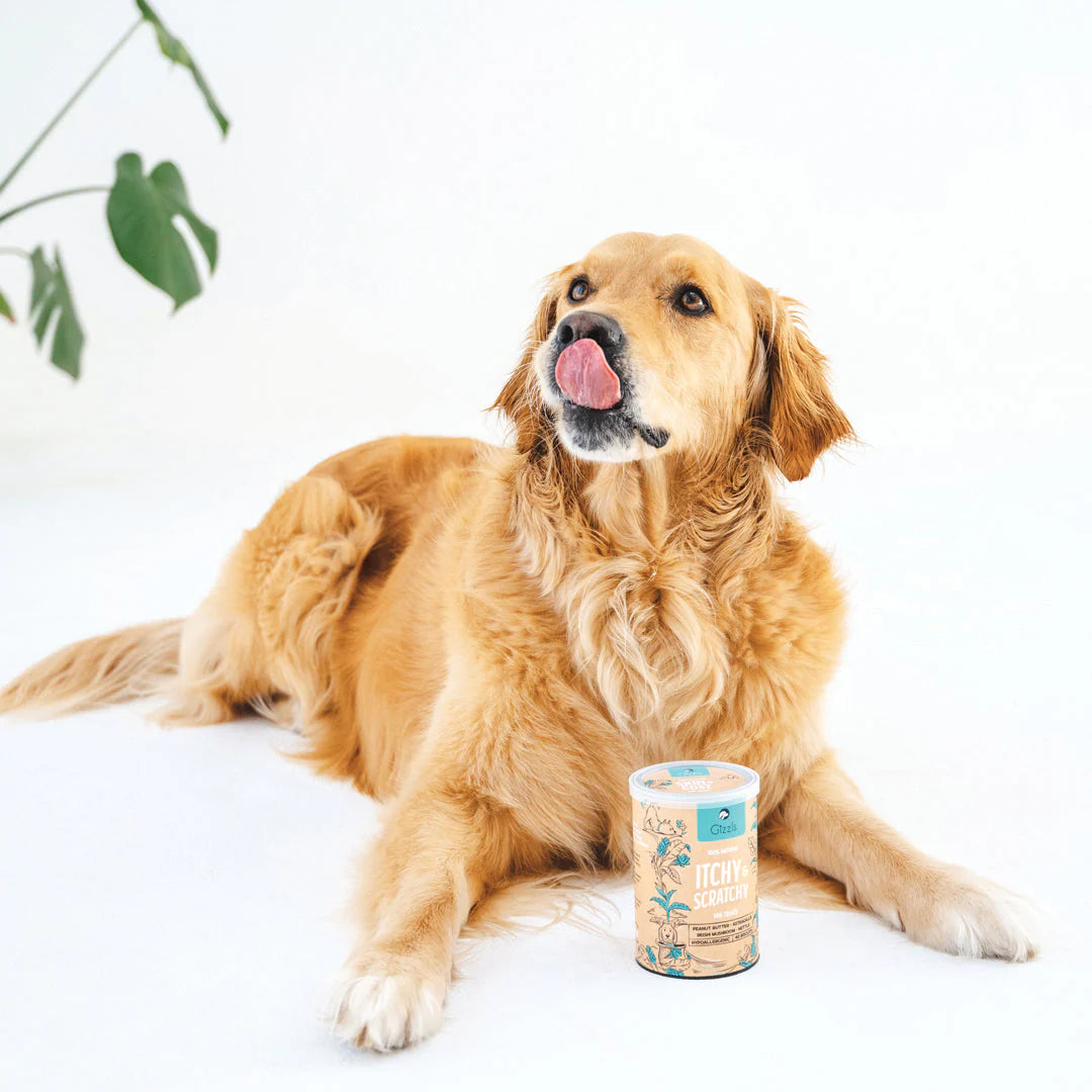 Gizzls Itchy & Scratchy Dog Biscuits
