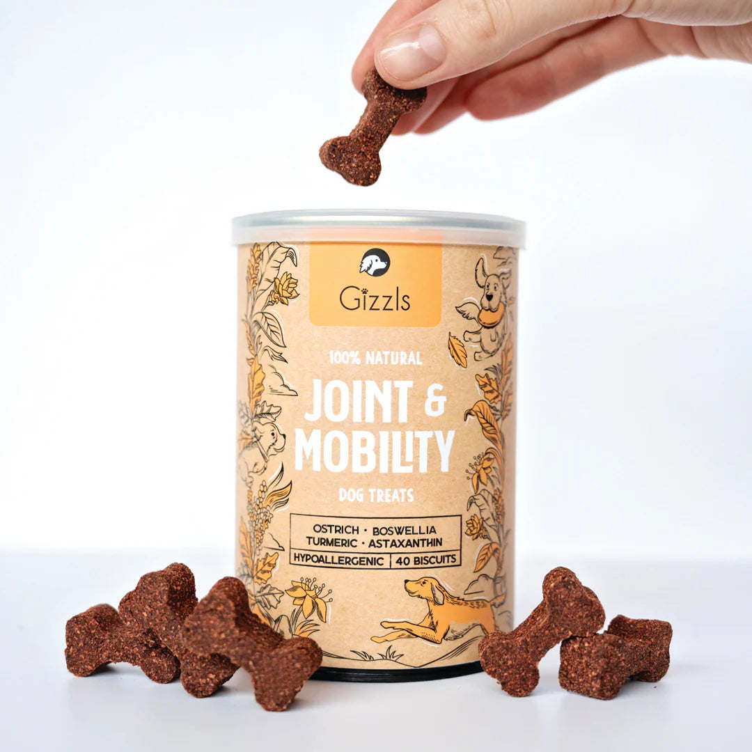 Gizzls Joint & Mobility Dog Biscuits