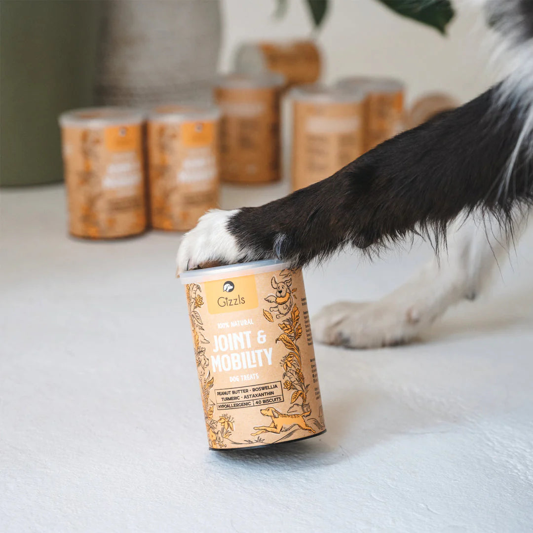 Gizzls Joint & Mobility Dog Biscuits