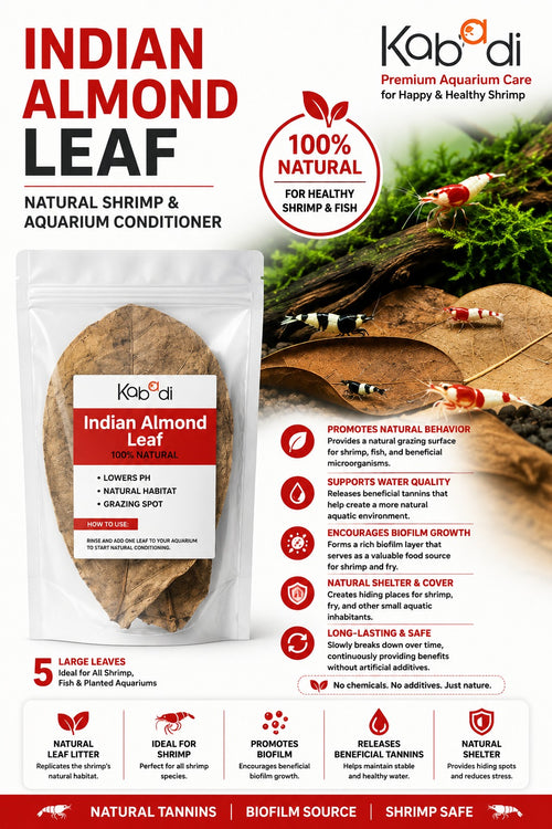 Kabadi Indian Almond Leaves
