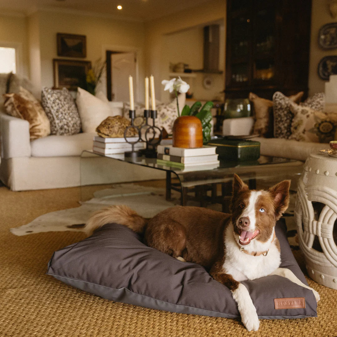 Huntlea Koletto Matlow Dark Charcoal