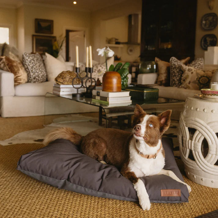 Huntlea Koletto Matlow Dark Charcoal