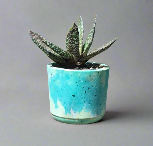 Concrete pots / planters -  L20