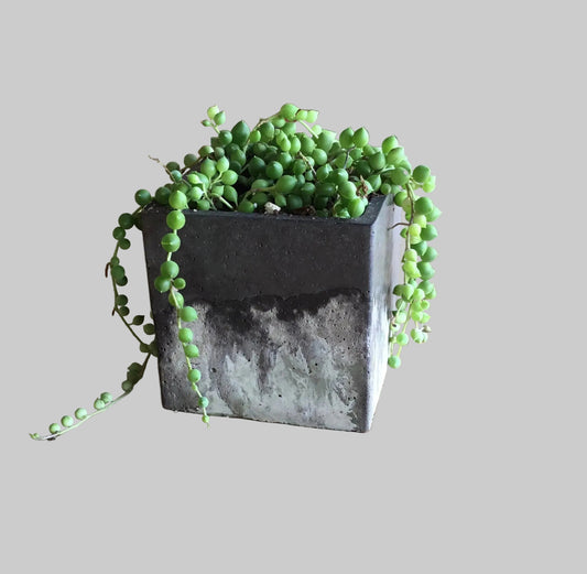 Concrete pots - Large square - L3