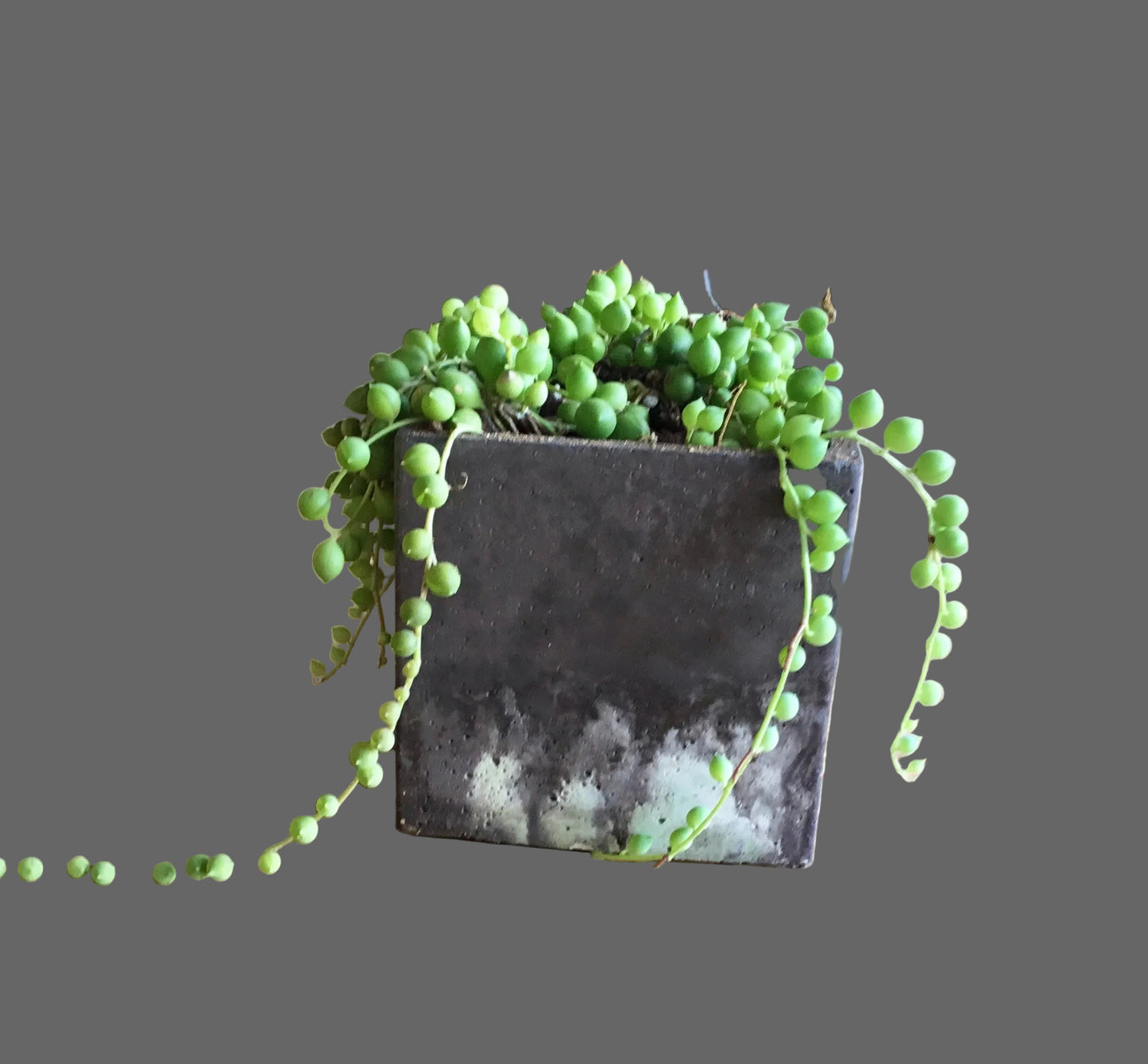 Concrete pots - Large square - L5
