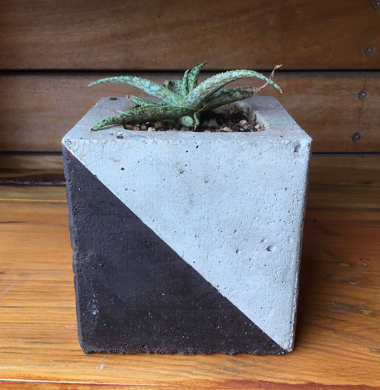 Concrete pots - Large square L6