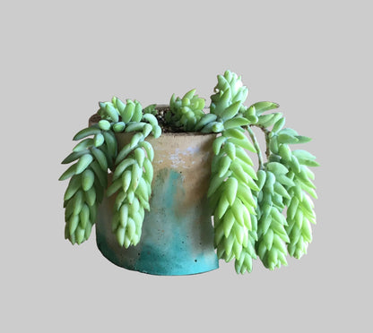 Concrete pots - Large Round - L8