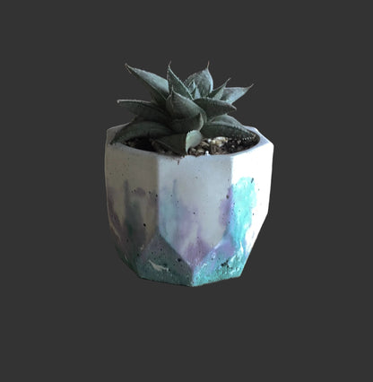 Concrete pots - Medium hexagonal M6