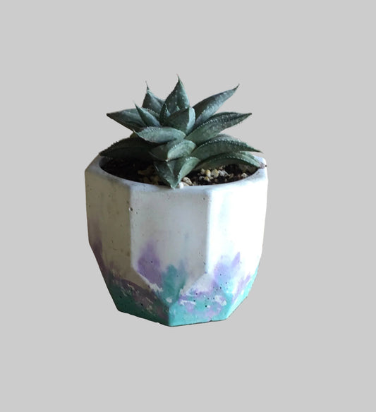 Concrete pots - Medium hexagonal M6