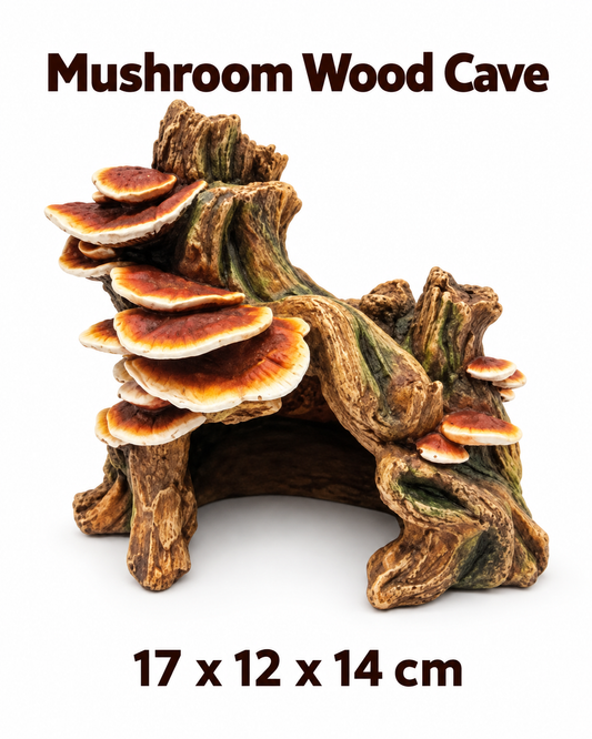 Reptile Mushroom Cave