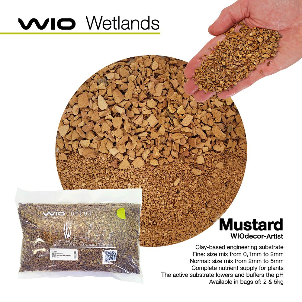 Mustard Wetland Artist S2 2kg