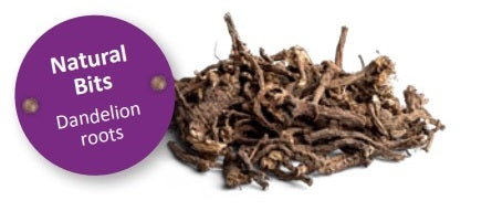 Bunny Nature Enjoy Nature Dandelion Roots 90g