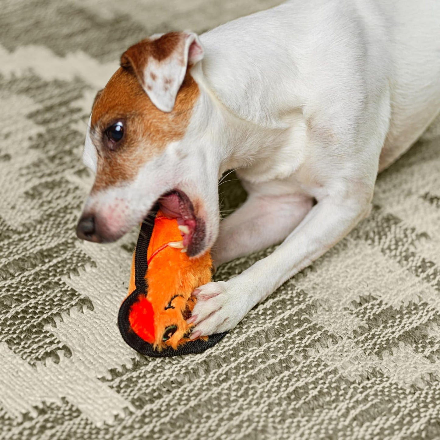 Outward Hound Durablez Mini Dog Toy