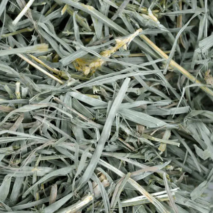 Oxbow Organic Meadow Hay - 425g