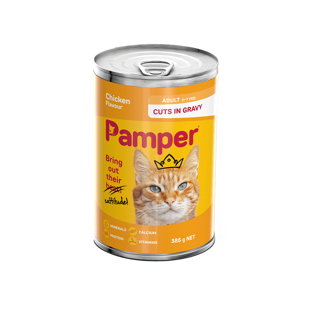 Pampers Canned Adult