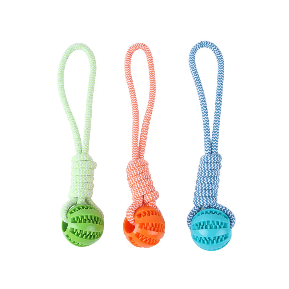 Dog Rope Toy