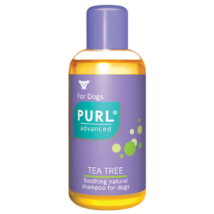 Purl Tea Tree Oil Shampoo / 250ml